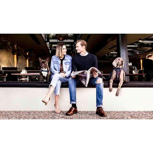 ���p ���[�h �[���V���b�N 64cm �f�j�� EZYDOG �C�[�W�[�h�b�O_2