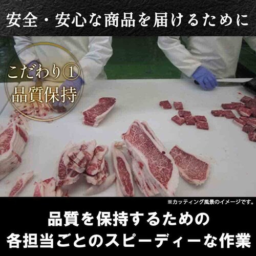 ����{�t���b�V���t�[�h �{�苍���[�X�����|���h�X�e�[�L WF-130�y�Ⓚ�z 901041845 �y�v���U�Z���N�g�z�y������s�z_8