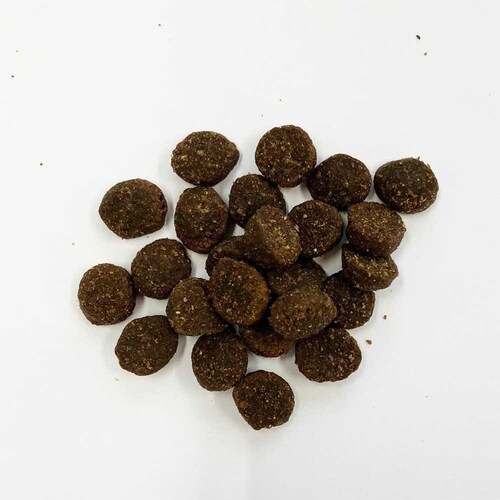 �t�@�[�X�g���C�g�h�b�O �P�[�W�t���[ �_�b�N���p���v�L�� 11.4kg  �h�b�O�t�[�h_3