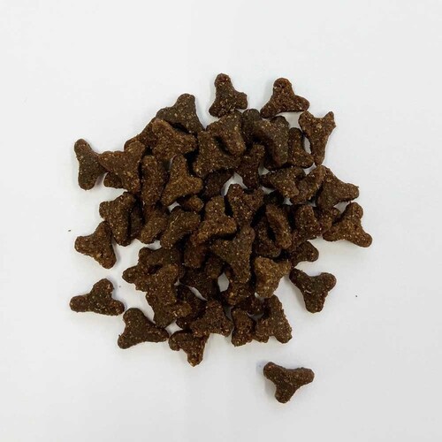 �t�@�[�X�g���C�g�L���b�g �P�[�W�t���[ �_�b�N �E�B�Y �u���[�x���[ 1.81kg _3