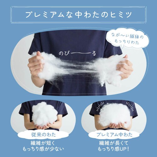 �_�̐Q�S�n �� �T���h�x�[�W���y�v���U�Z���N�g�z_5