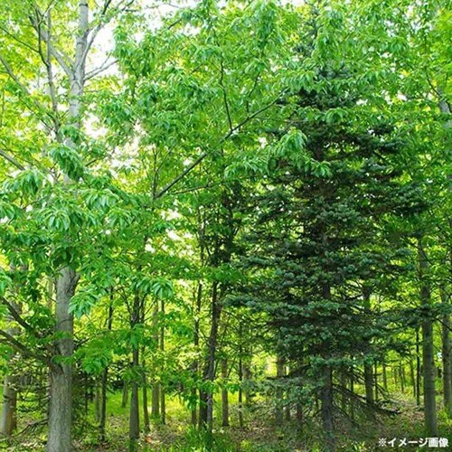 ハイアール ハイアール窓用エアコン W JA-W16A _5