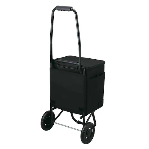 サーモス ソフトクーラー 20L RFD-0201 ALB オールブラック【プラザセレクト】_4