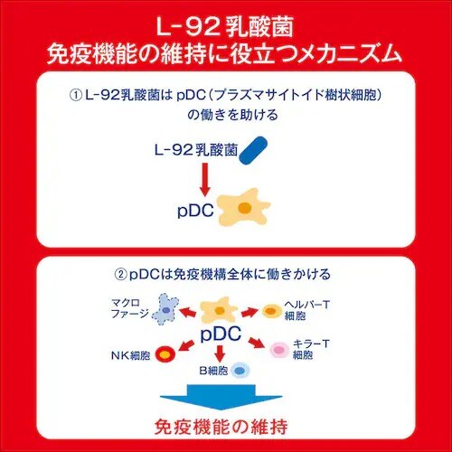 �y24�{�z�A�T�q PLUS�J���s�X �����E�����P�A 200ml  _13