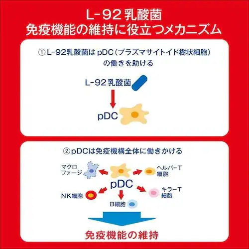 �y30�{�z�A�T�q PLUS�J���s�X �����E�����P�A 100ml  _5