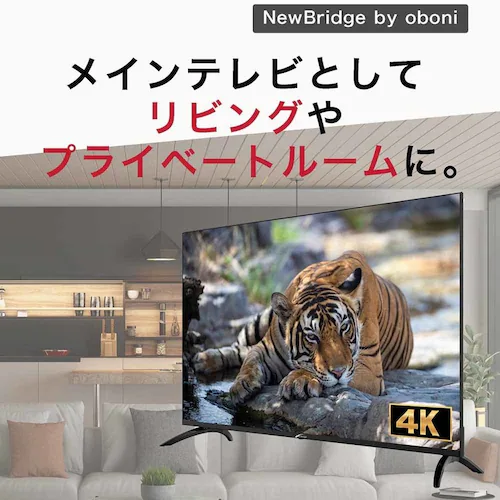 慶洋エンジニアリング 50インチスマートテレビ OBN-50TUD1 【プラザセレクト】_4