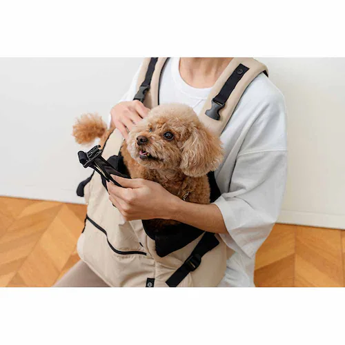 �_�b�h�E�F�C�y�b�g �t�����g�z�[���h��L�����[ PTFA0010101 �u���b�N_7