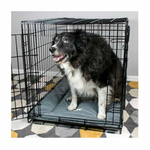 �_�b�h�E�F�C�y�b�g �N���[�g��x�b�h/S PTTL142418 _4