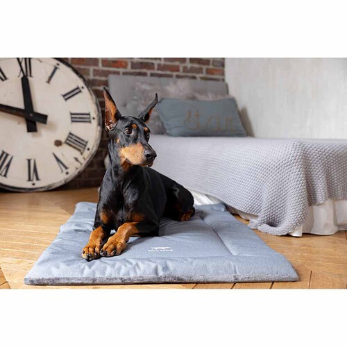 �_�b�h�E�F�C�y�b�g �N���[�g��x�b�h/XL PTTL144228 _2