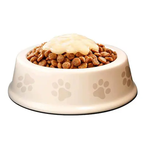 �X���T�����[���h �t�B�b�V��&�|�e�g �Ƃ�`��y�[�X�g 12g�~5�{ _4