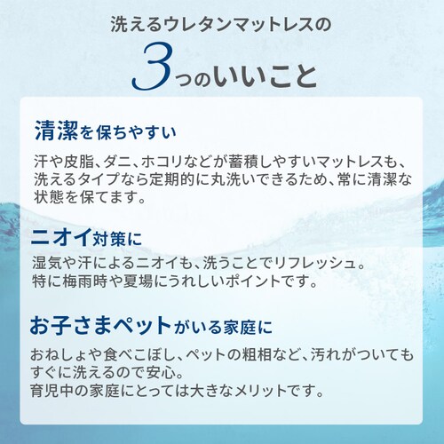 �􂦂�E���^���}�b�g���X�@�Z�~�_�u�� ���C�g�u���E���y�v���U�Z���N�g�z_3