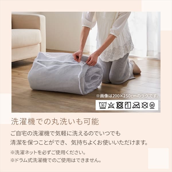 ラグ フランネルラグ 円形 抗菌防臭 防ダニ加工 140cm×140cm ブラウン