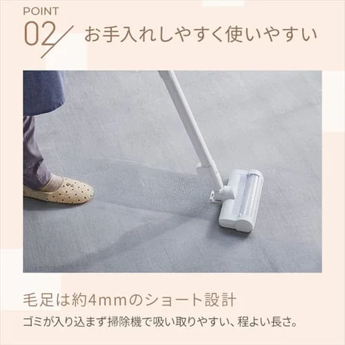 ���O �t�����l�����O �~�` �R�ۖh�L �h�_�j���H 200cm�~200cm �u���E�� FNR-RCR-2020_4