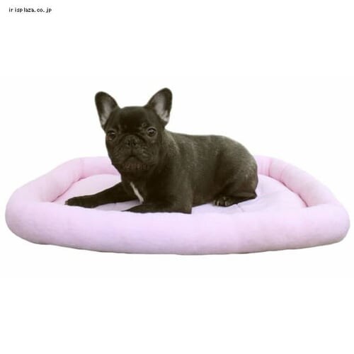 �y�b�g�v�� �^�I���}�b�g L �A�C�{���[_3