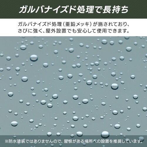 MOJYU ���u�yAve-�A�[���F-�z�X���[�� SED-002 �~���L�[�z���C�g/�z���C�g_7