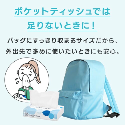 �y30�Z�b�g�z�ێ��e�B�b�V�� 240��(120�g)5�p�b�N�~6�Z�b�g�y�v���U�Z���N�g�z_6