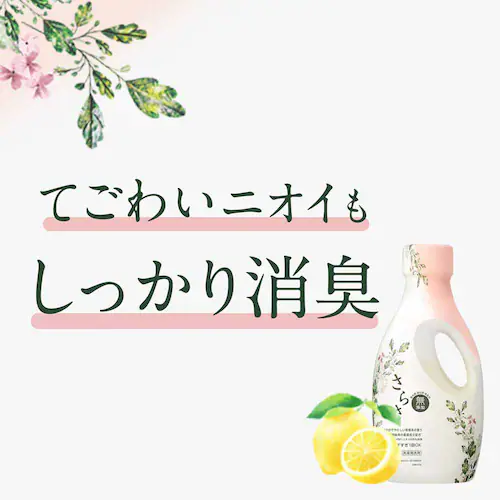 �y6�Z�b�g�zP&G ���炳��܃W�F�� �߂����E���g���W�����{�T�C�Y _3