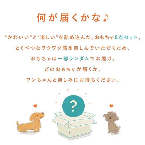 �_�����͂������y���݁I�^��񂱗p�������� �n�b�s�[�o�b�O5�_�Z�b�g_2