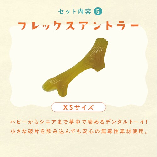 �_�����͂������y���݁I�^��񂱗p�������� �n�b�s�[�o�b�O5�_�Z�b�g_7