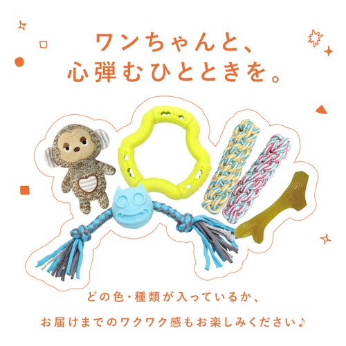 �_�����͂������y���݁I�^��񂱗p�������� �n�b�s�[�o�b�O5�_�Z�b�g_11