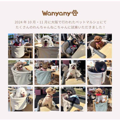 MOGU�`�F�A �x�[�W���y�v���U�Z���N�g�z_6