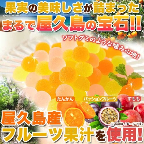 �V�R���� �y�����p�z���v���t���[�c�̃y�N�`���[���[3��500g SM00011050 _2