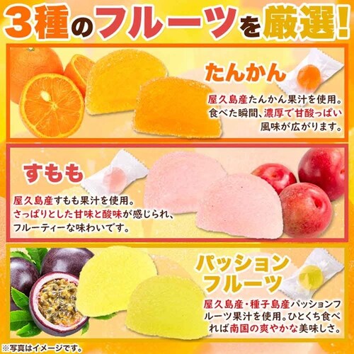 �V�R���� �y�����p�z���v���t���[�c�̃y�N�`���[���[3��500g SM00011050 _5