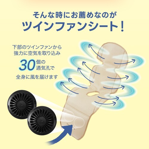 �c�C���t�@���V�[�gBreezy Gemini�@�u���b�N_5