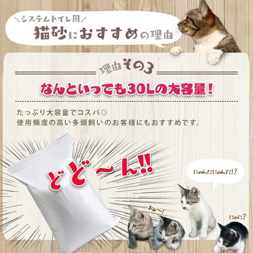 �؎��y���b�g 30L �L�� ��_6