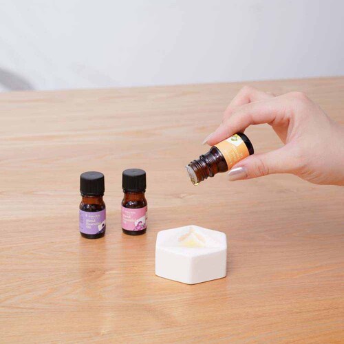 �����̖� �l������ �A���}�X�g�[���Z�b�g 08-299-4330 �y�v���U�Z���N�g�z_2