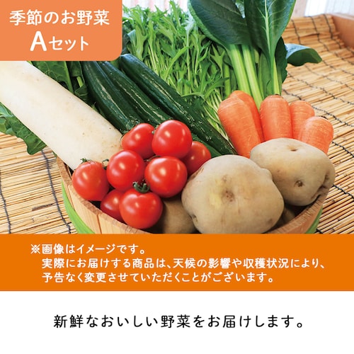 �y�O�J���z�����̋� �G�߂̂���؂��y����A�Z�b�g _3