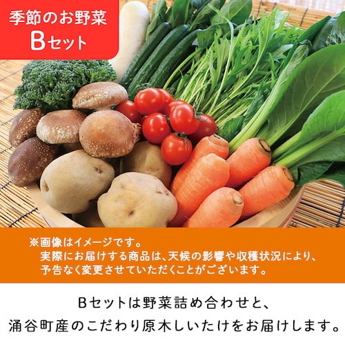 �y�O�J���z�����̋� �G�߂̂���؂��y����A�Z�b�g _4