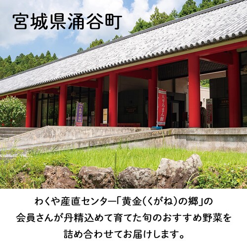 �y�O�J���z�����̋� �G�߂̂���؂��y����A�Z�b�g _5