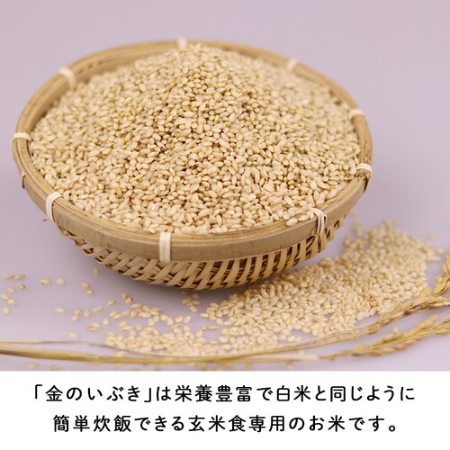 �y�O�J���z���̂��Ԃ�����5kg _3