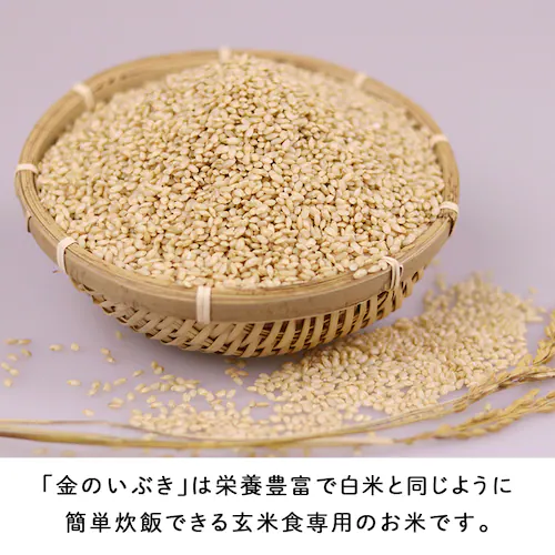 �y�O�J���z���̂��Ԃ�����10kg _3