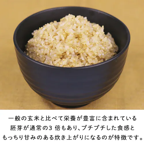 �y�O�J���z���̂��Ԃ�����10kg _4