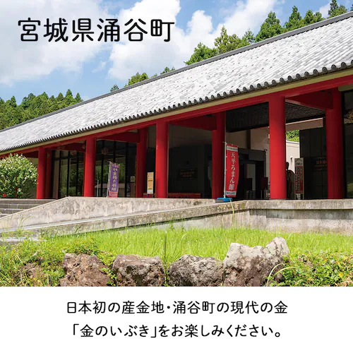 �y�O�J���z���̂��Ԃ�����10kg _5