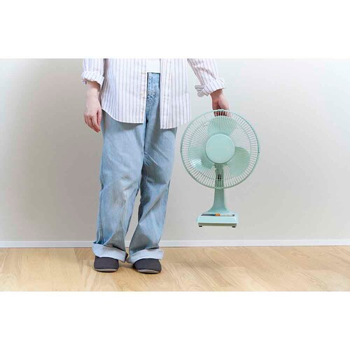 ���g����@ ���g���O���[�� AFR-175 �y�v���U�Z���N�g�z_8