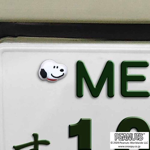 �i���o�[�{���g�L���b�v �X�k�[�s�[���t�����Y SN190 _5