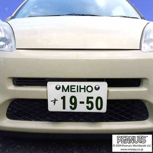 �i���o�[�{���g�L���b�v �X�k�[�s�[ �V���o�[ SN282 _2