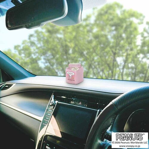 �t���O�����X�W�F�� �X�k�[�s�[ SN3153 �z���C�g���X�N_3