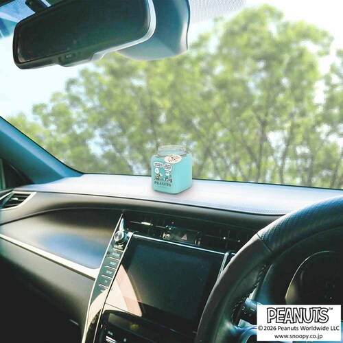 �t���O�����X�W�F�� �X�k�[�s�[ SN3153 �z���C�g���X�N_4