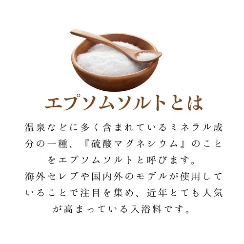 �G�v�\��C ������y�v���U�Z���N�g�z_2