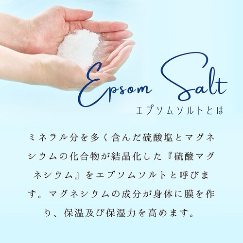 �G�v�\��C �x���K���b�g�y�v���U�Z���N�g�z_2