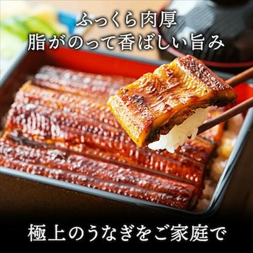 1尾】国産 特大鰻（約200g/尾） 7289832 │アイリスオーヤマ公式通販