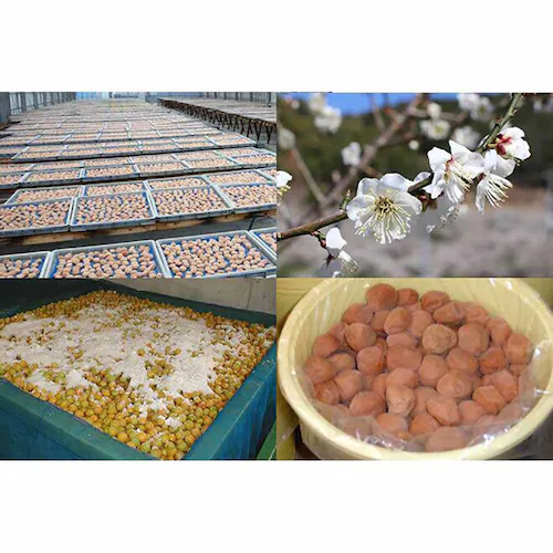 �y2�z Tokka �~���� 400g �����y���Ԏw��s�z�y�v���U�Z���N�g�z�y������s�z_9