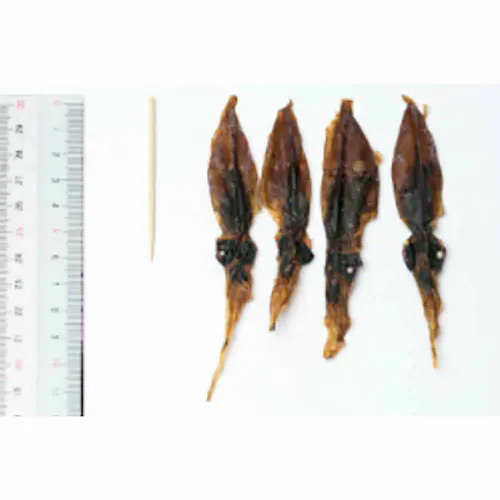 Tokka ほたるいか素干し 無添加 70g 【時間指定不可】【代引き不可】_2