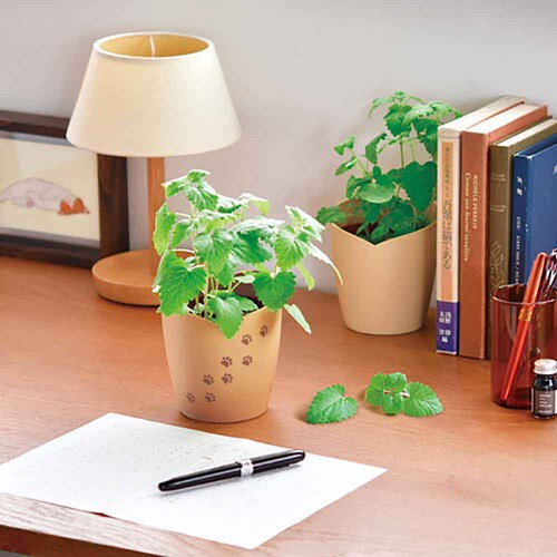 ���m�}�^�^�r�͔|�L�b�g �L���b�g�j�b�v GD-1027 �y�v���U�Z���N�g�z_2