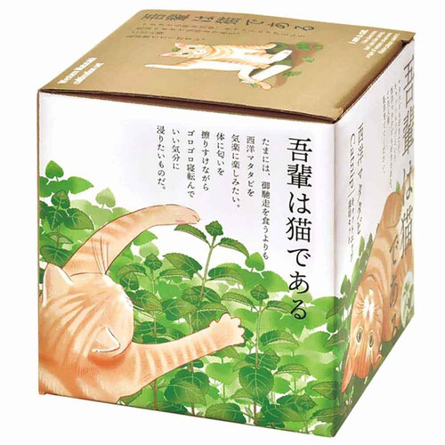 ���m�}�^�^�r�͔|�L�b�g �L���b�g�j�b�v GD-1027 �y�v���U�Z���N�g�z_3