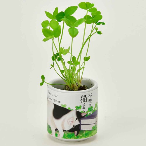 ����ł������傱 ��y�L GD-102802 �������o�[���y�v���U�Z���N�g�z_6